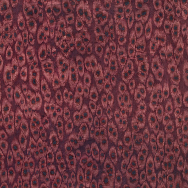 Plum 01_46