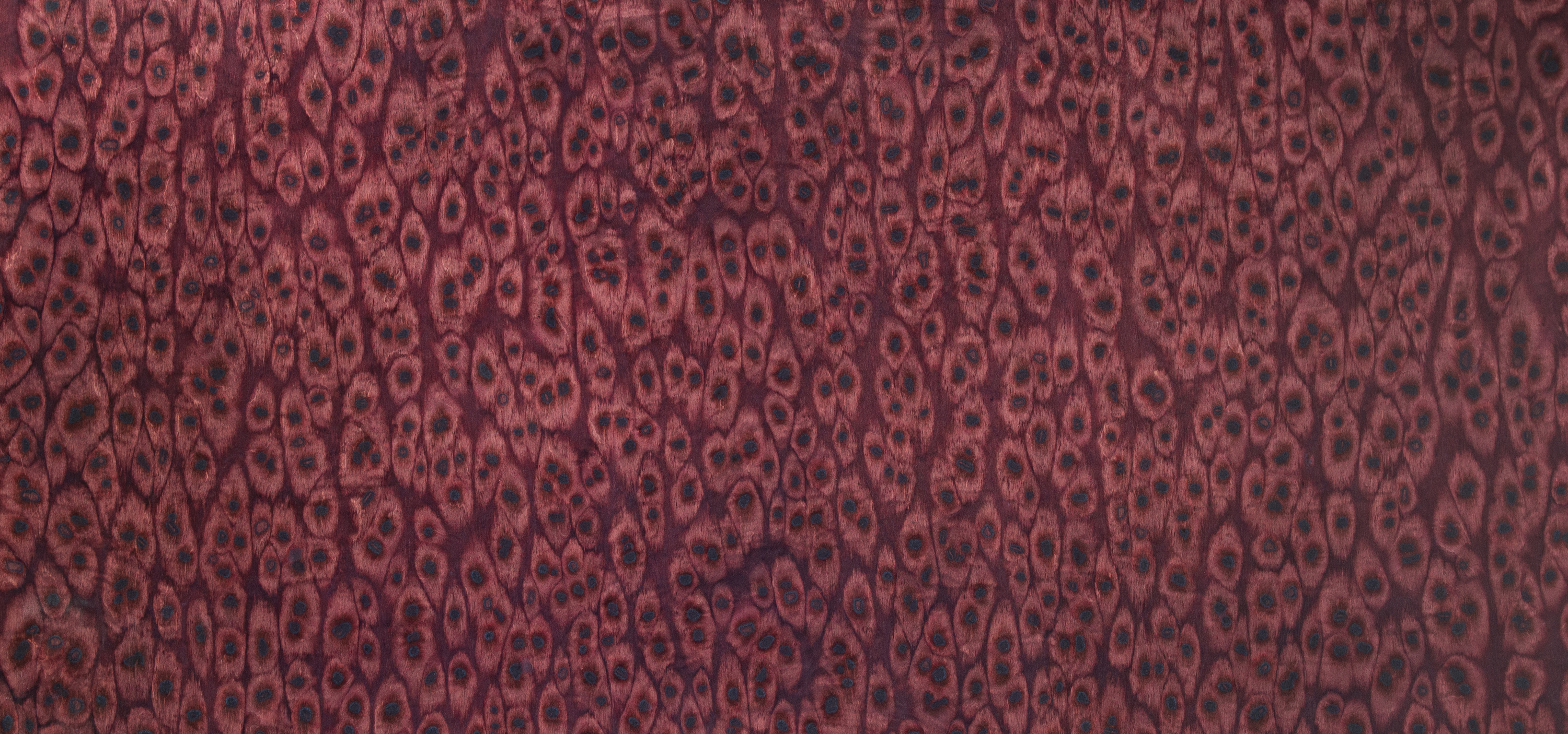 01_46_PLUM_random_top