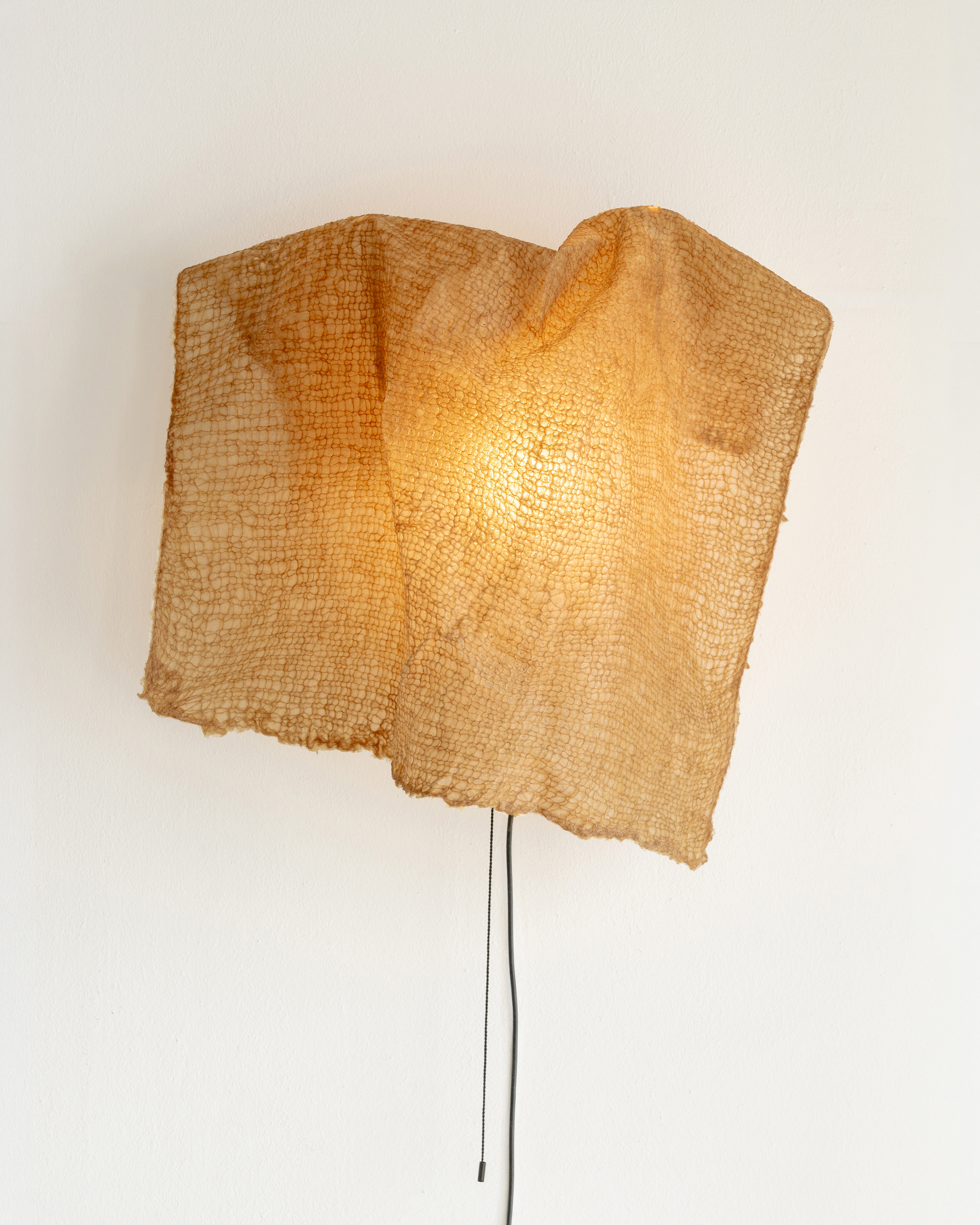 Throw Light