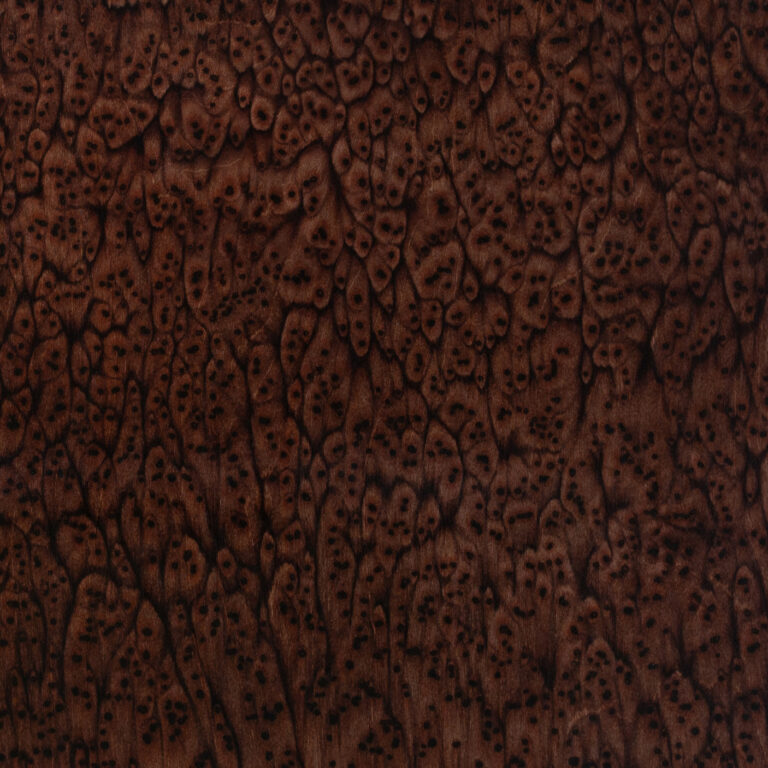 Fango 04_24