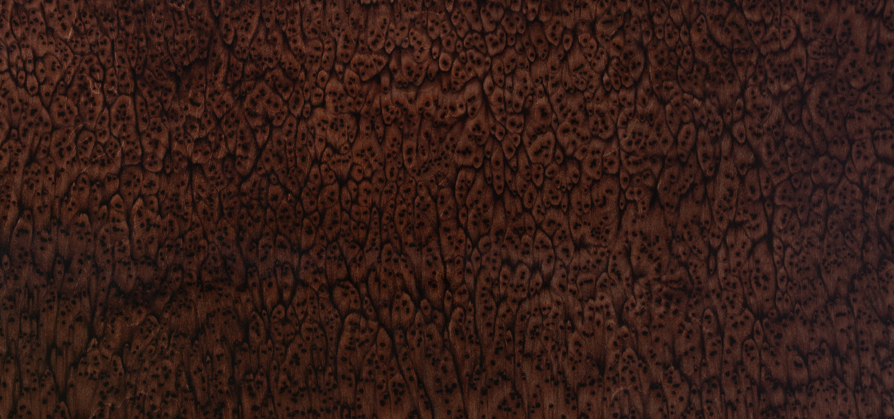 04_24_FANGO_sprinkle_top
