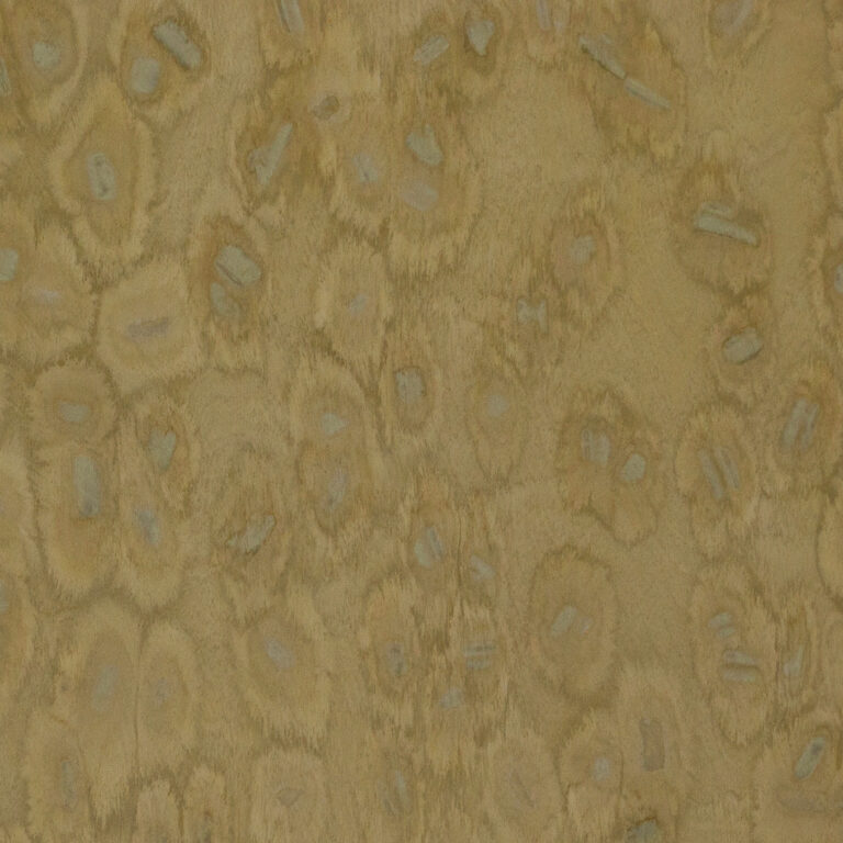 Ebony 06_37