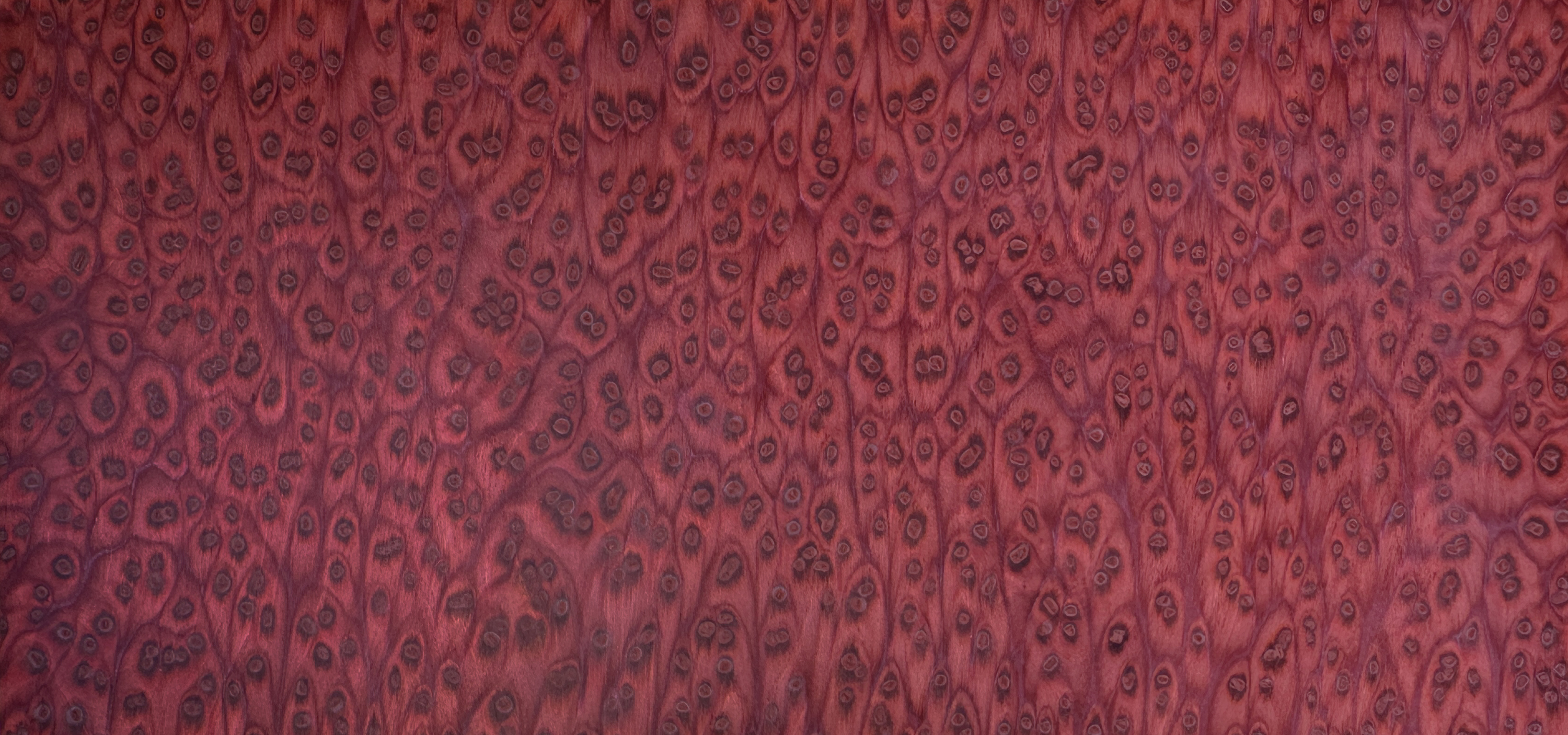 07_72_BERRY_dot_top