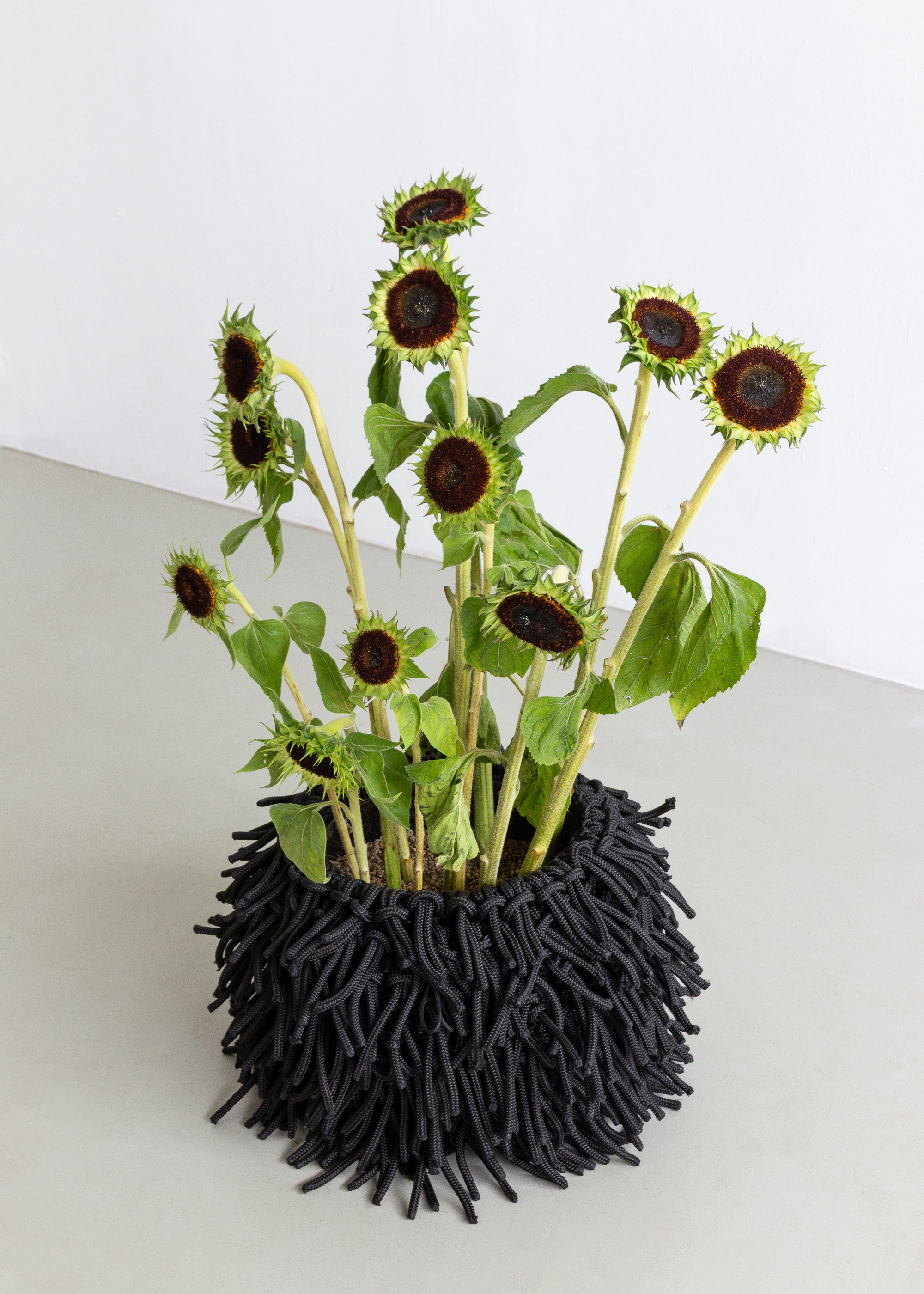 Mak Vase