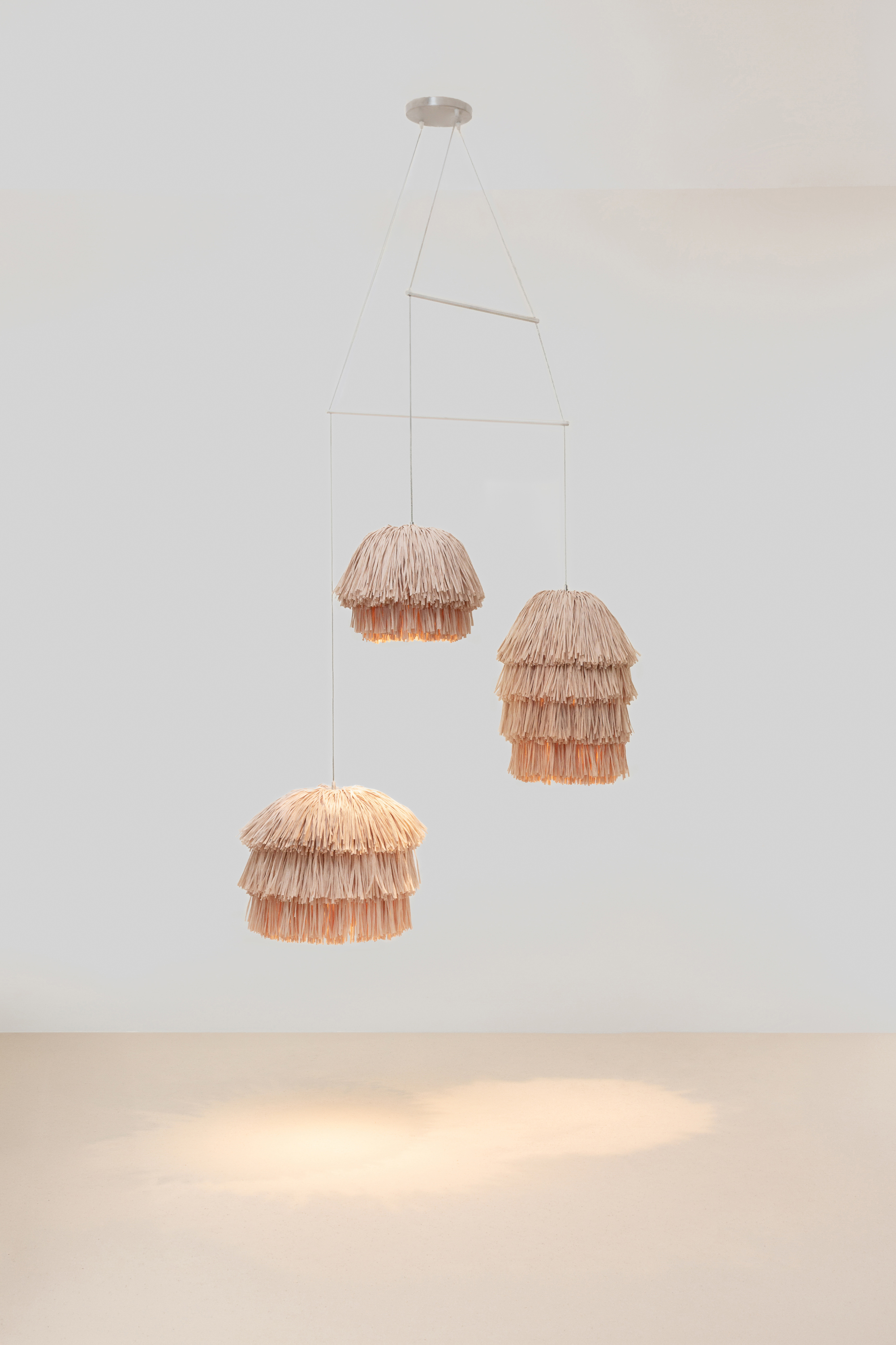 FRAN CLUSTER