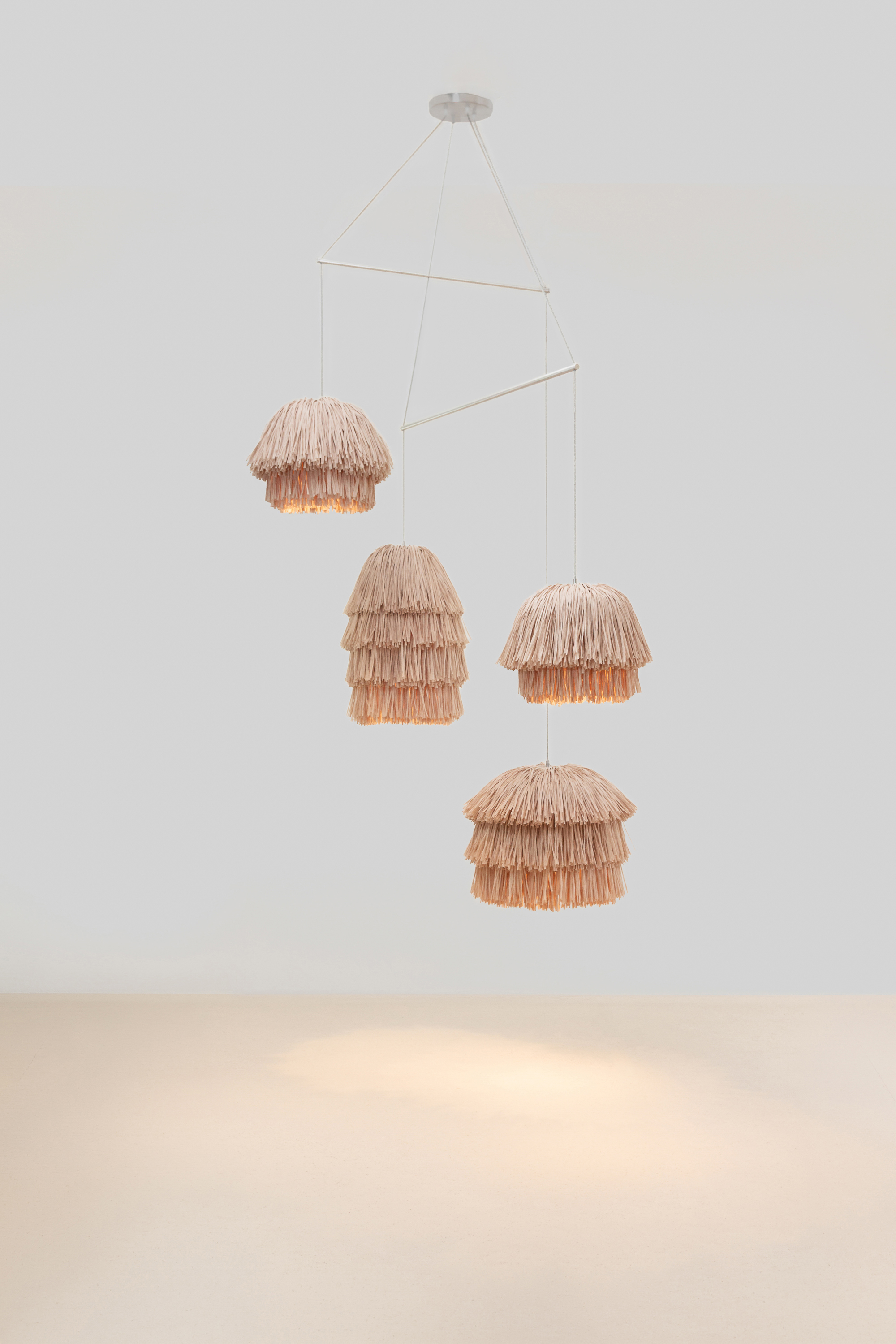 FRAN CLUSTER