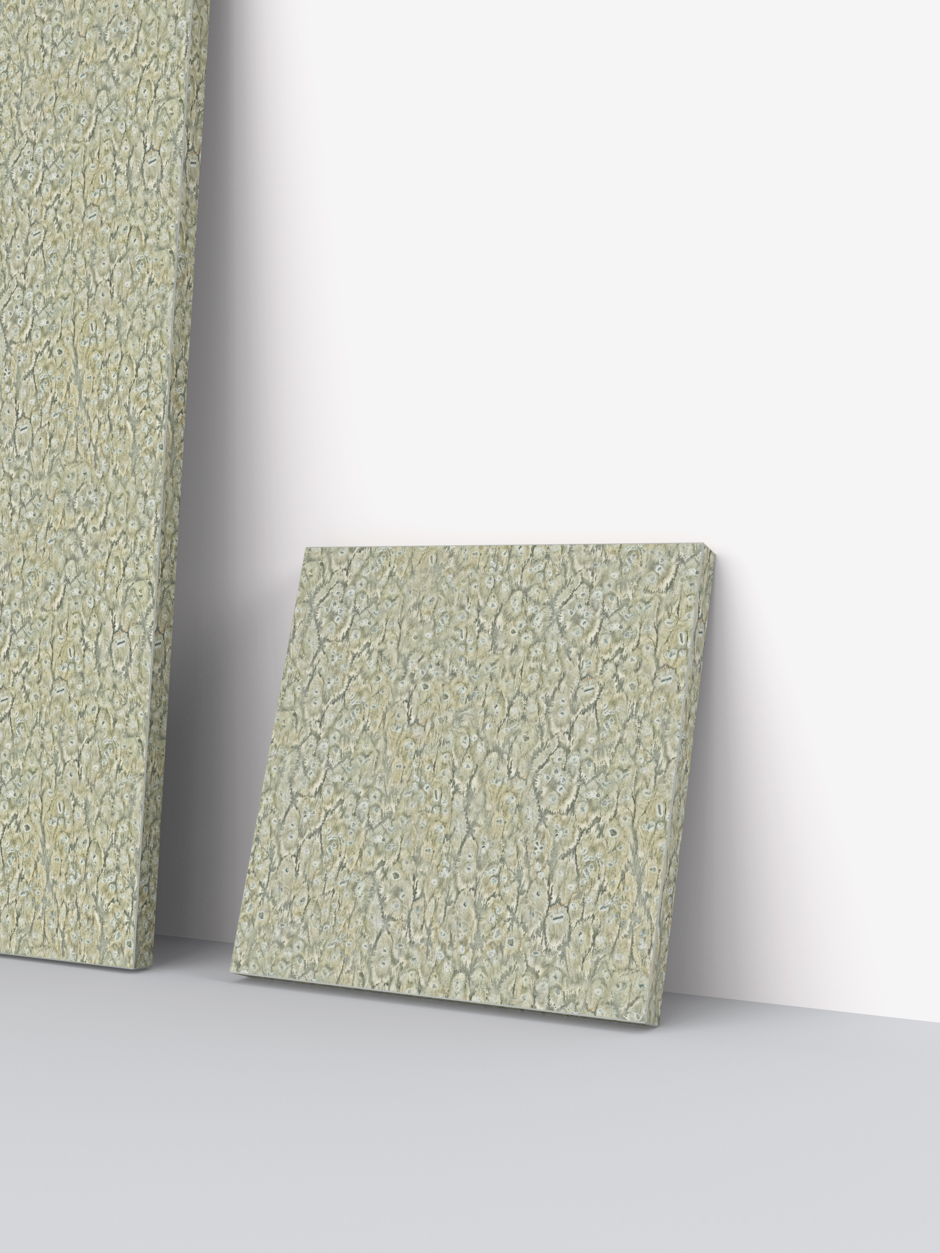 Mold 01_13