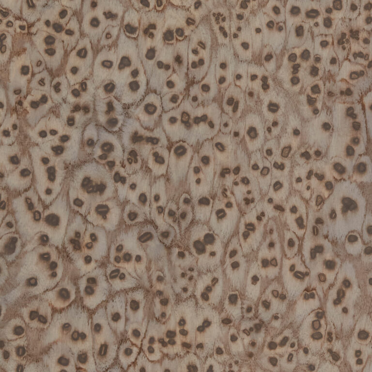 Dark Terracotta 07_39